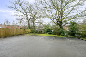 Photo 10- click for photo gallery